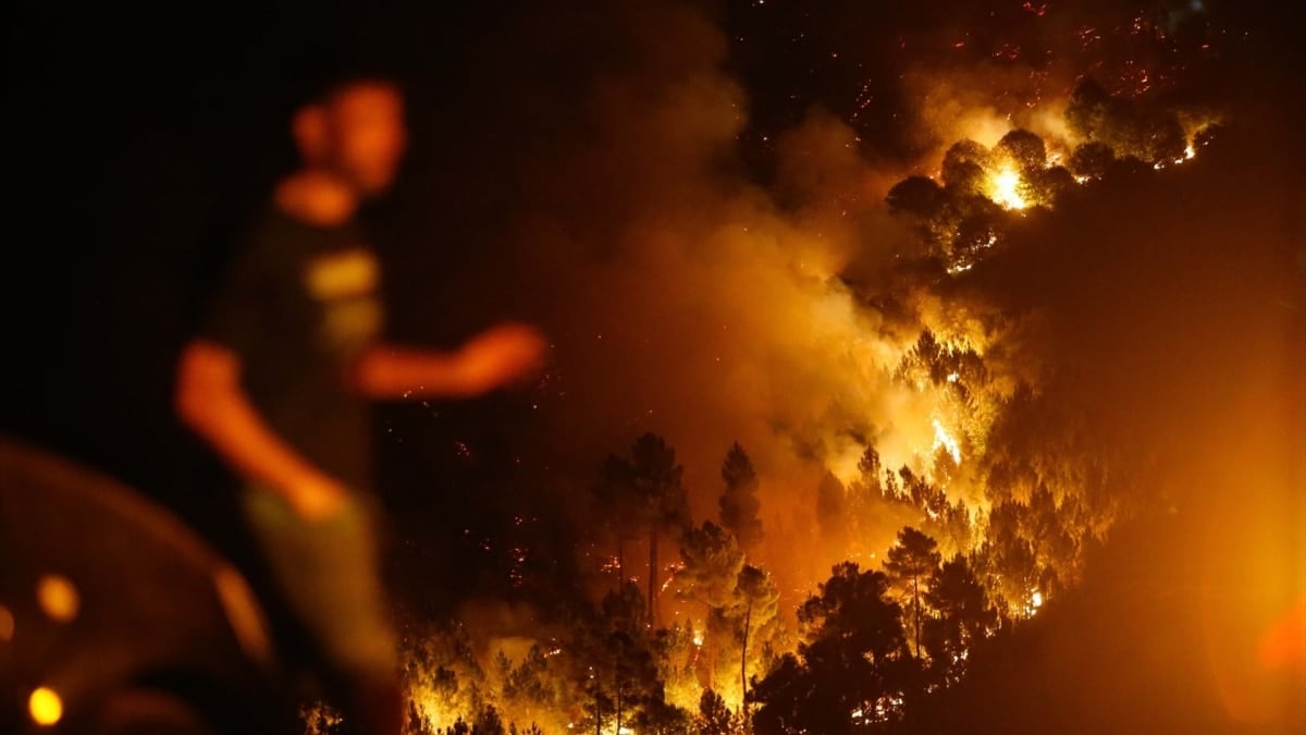 Arden casi 400.000 hectáreas en España durante 2025