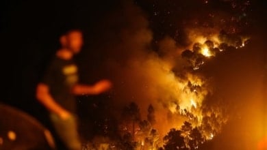 Arden casi 400.000 hectáreas en España durante 2025