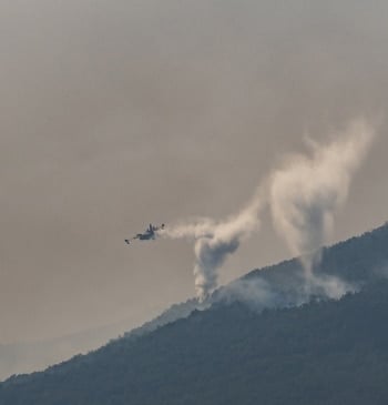 La Fiscalía investiga si los municipios más afectados por los incendios cuentan [...]