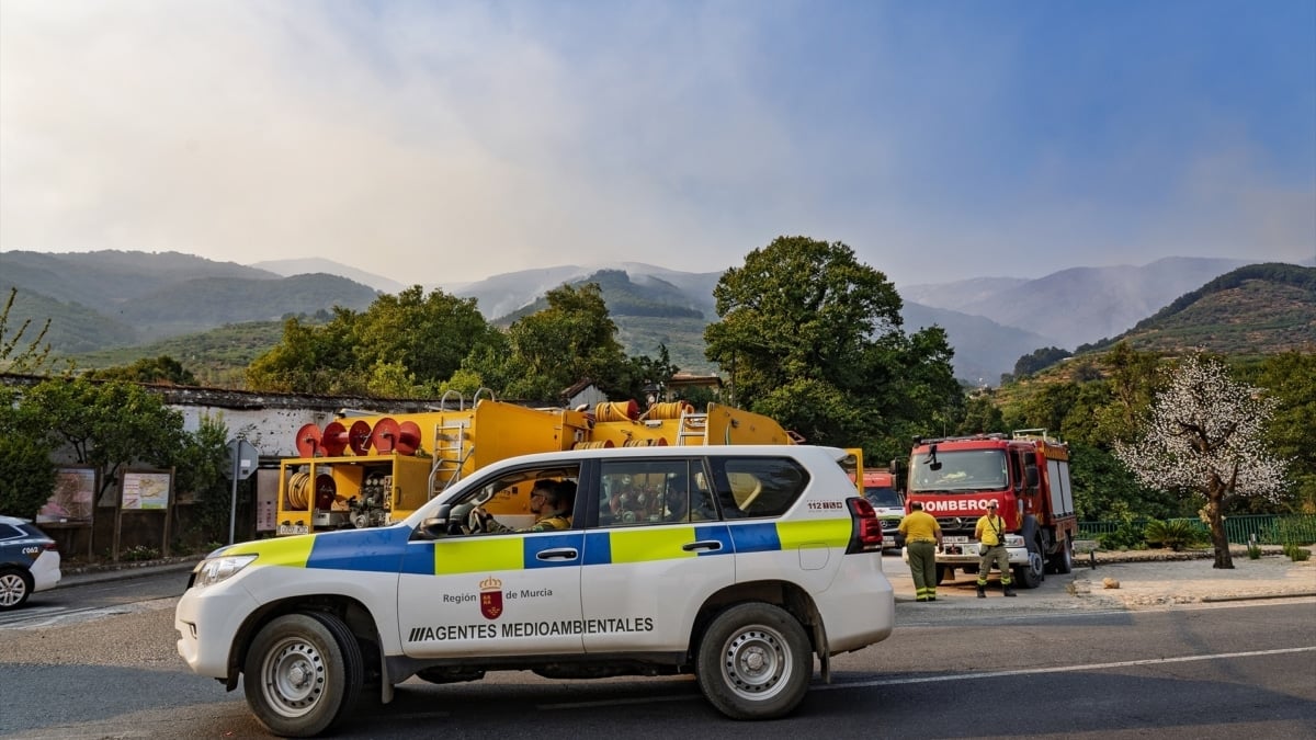Varios servicios de emergencias colaboran en la extinción de un fuego
