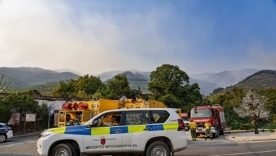 Extremadura dará ayudas de hasta 3.000 euros al sector agrario y pymes por los incendios