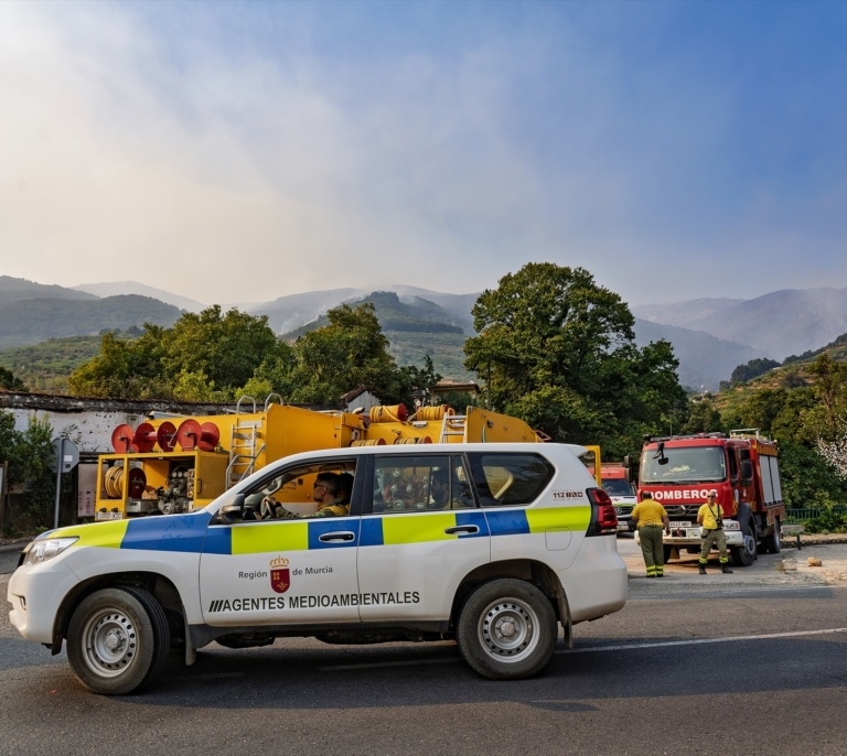 Extremadura dará ayudas de hasta 3.000 euros al sector agrario y pymes por los incendios