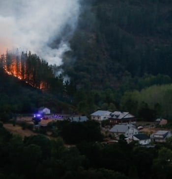 Los Reyes visitarán mañana las zonas afectadas por los incendios en Sanabria [...]