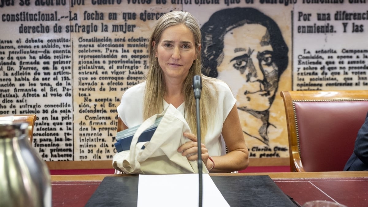 Aagesen defiende analizar los incendios "desde el rigor técnico"