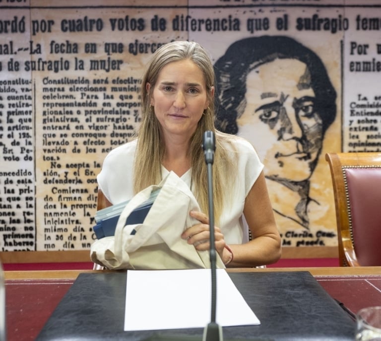 Aagesen defiende analizar los incendios "desde el rigor técnico"