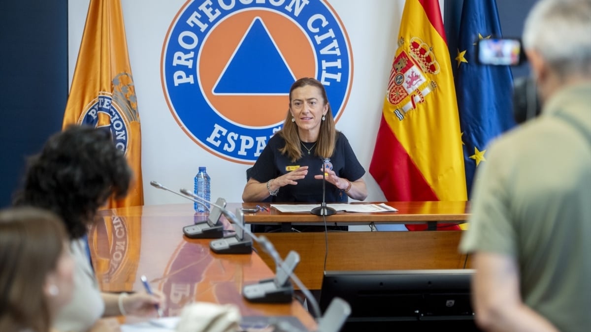 Protección Civil cree que las próximas 24 horas "son definitivas" en el control de 14 incendios que siguen activos