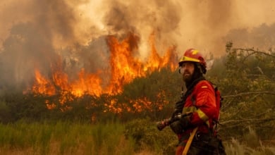 Doce grandes incendios forestales en cuatro días ponen en jaque los medios contra el fuego en España