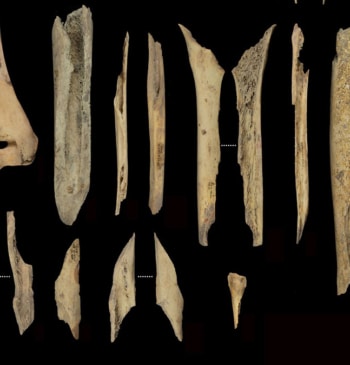 Festín caníbal en El Mirador de Atapuerca: 11 personas cocinadas y devoradas [...]