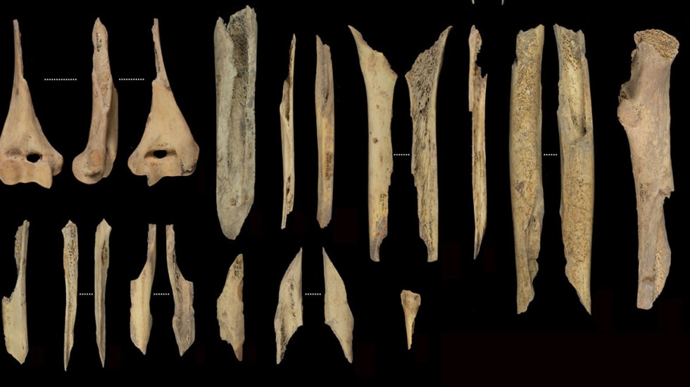 Festín caníbal en El Mirador de Atapuerca: 11 personas cocinadas y devoradas hace 5.700 años