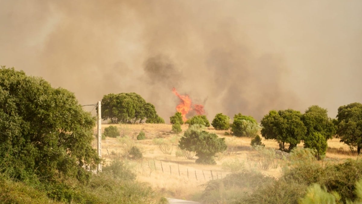 Desalojan viviendas en Colmenar Viejo (Madrid) por un incendio de nivel 1 que moviliza 28 medios