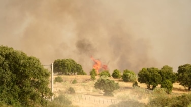 Desalojan viviendas en Colmenar Viejo (Madrid) por un incendio de nivel 1 que moviliza 28 medios