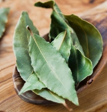 Hoja laurel