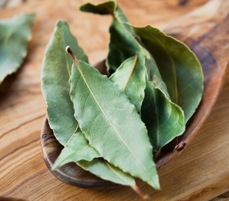Por qué deberías colocar una hoja de laurel detrás de la puerta en verano