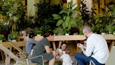 Cómo huir del calor en Madrid: Los mejores refugios climáticos para sobrevivir en la capital