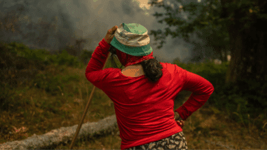 Ocho comunidades combaten incendios con miles de evacuados y cuatro heridos en estado crítico