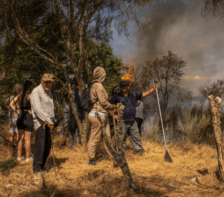 Menos pacto de Estado y más desarrollo rural y mercado