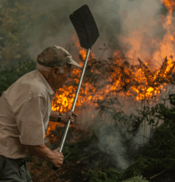 Ocho comunidades combaten incendios con miles de evacuados y cuatro heridos en [...]