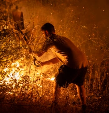Incendios, la "nueva normalidad" española y cinco claves para combatirla, según Naciones [...]