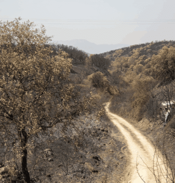 Los incendios activos mantienen en alerta a Asturias, León y Zamora