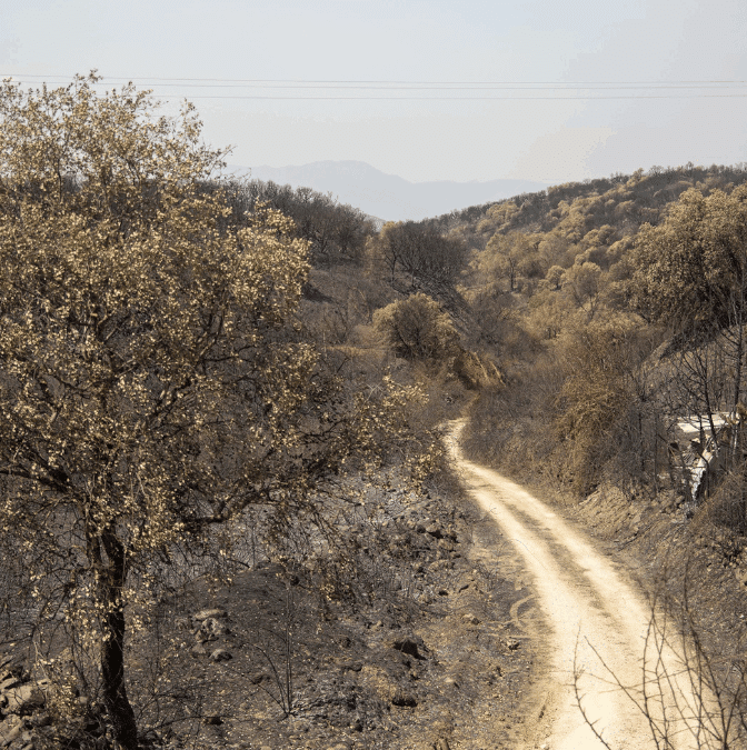 Los incendios activos mantienen en alerta a Asturias, León y Zamora
