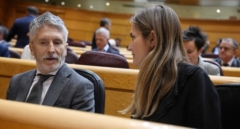 El PP decidirá si investiga los incendios en el Senado tras el paso de Robles, Aagesen, Marlaska y Planas