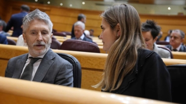 El PP decidirá si investiga los incendios en el Senado tras el paso de Robles, Aagesen, Marlaska y Planas