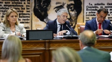 Marlaska reprende al PP por "el uso partidista del Senado" y por "distorsionar" el papel del Gobierno frente a los incendios