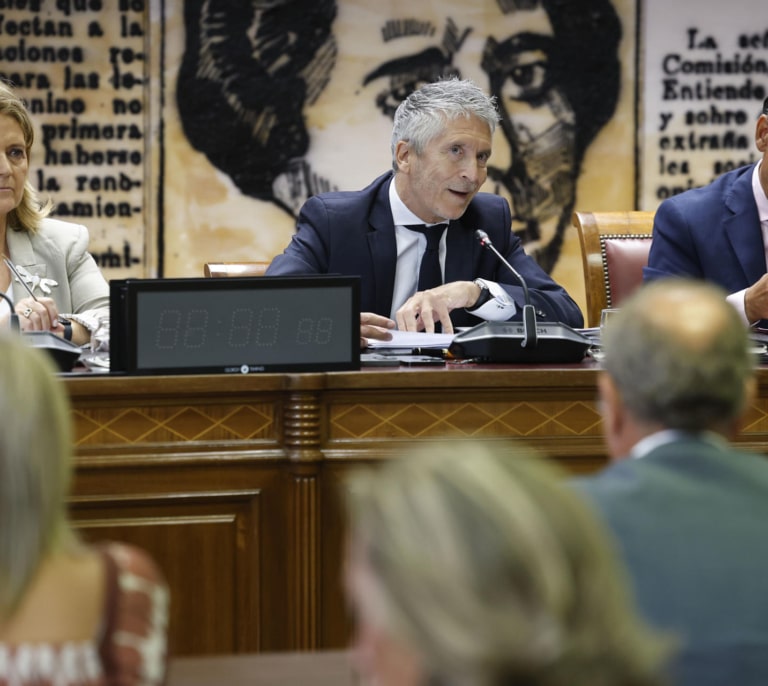 Marlaska reprende al PP por "el uso partidista del Senado" y por "distorsionar" el papel del Gobierno frente a los incendios