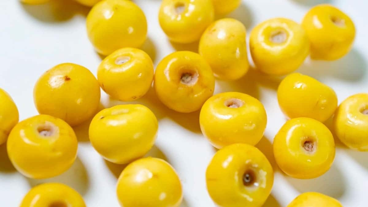 nanche fruta piel