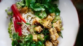 Descubre cómo comer saludable con el plato Harvard