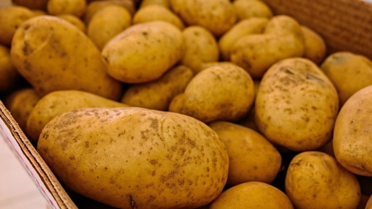 Patatas microondas