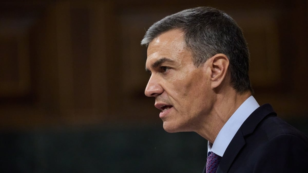El presidente del Gobierno, Pedro Sánchez, en el Congreso