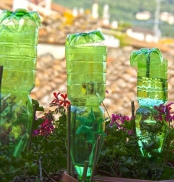 El truco viral para regar tus plantas estando de vacaciones