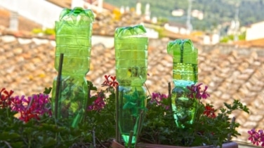 El truco viral para regar tus plantas estando de vacaciones