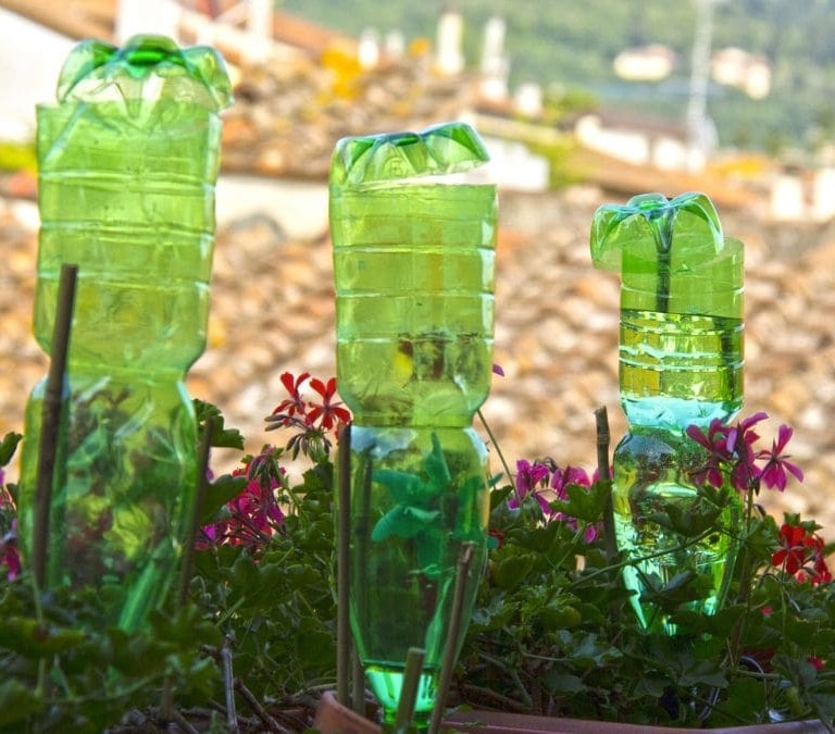 El truco viral para regar tus plantas estando de vacaciones