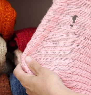 Adiós a las polillas: el mejor truco para que no estropeen tu [...]