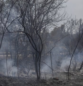 Cataluña sale de la alerta máxima por riesgo de incendios este martes [...]