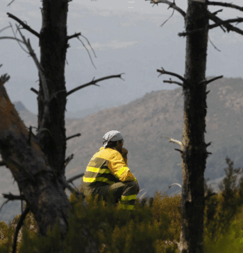 Los grandes incendios de este año triplican la superficie quemada en 2024