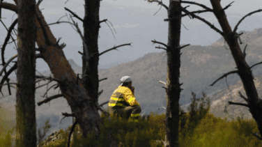 Los grandes incendios de este año triplican la superficie quemada en 2024