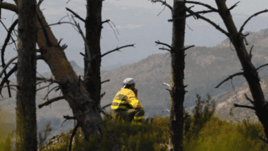 Los grandes incendios de este año triplican la superficie quemada en 2024