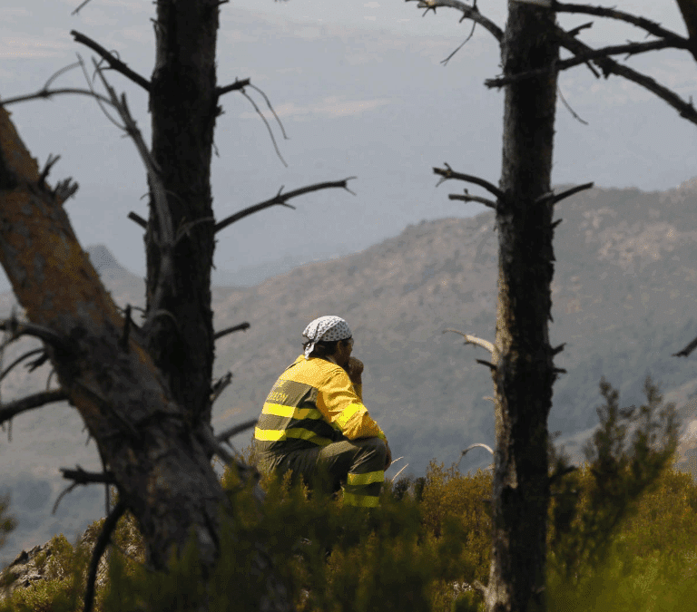 Los grandes incendios de este año triplican la superficie quemada en 2024