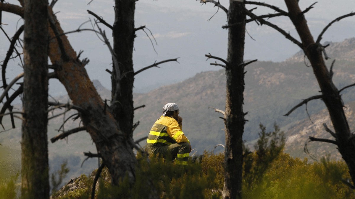 Un brigadista observa este jueves la evolución del incendio de Ourense a punto de llegar a Castromil (Zamora).