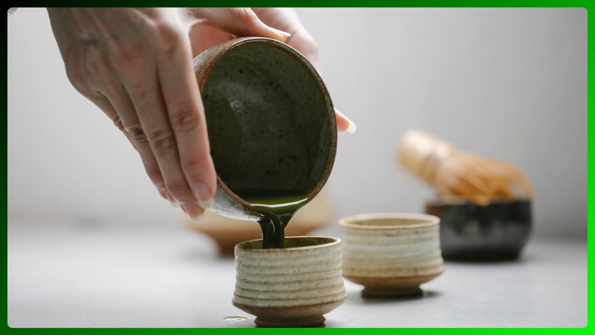 Té Matcha para adelgazar, mejores marcas y cómo tomarlo para resultados máximos