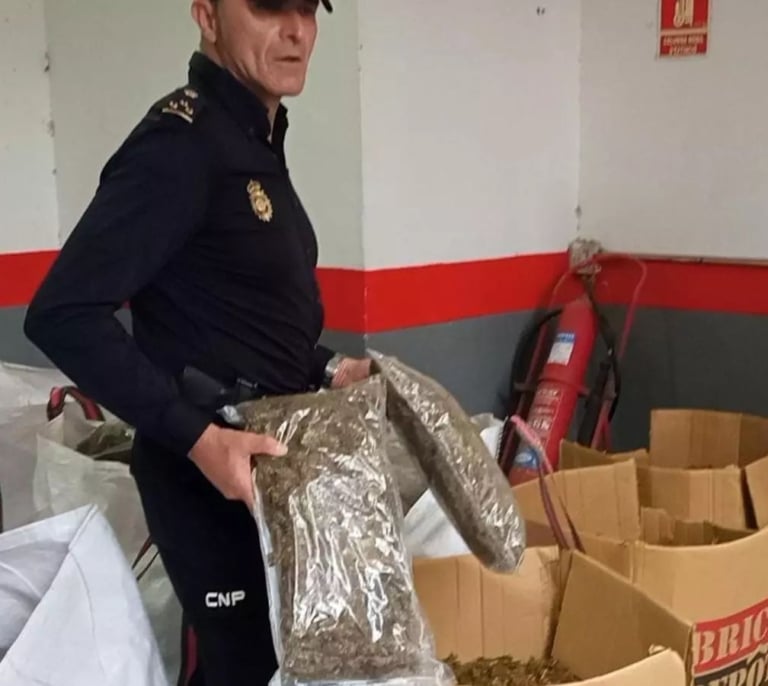 Tres arrestados por una macroplantación en Puente Tocinos (Murcia)