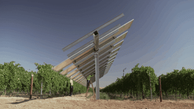 La 'sombra fotovoltaica', el preciado (y rentable) alivio del campo en olas de calor
