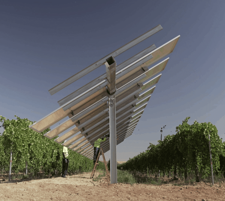 La 'sombra fotovoltaica', el preciado (y rentable) alivio del campo en olas de calor