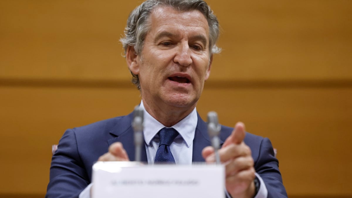 El líder del PP, Alberto Núñez Feijóo.
