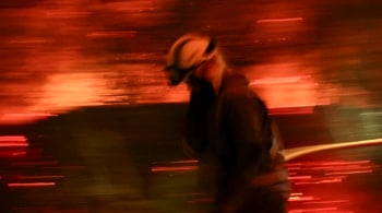 Los bosques no echan humo, las promesas políticas se apagan