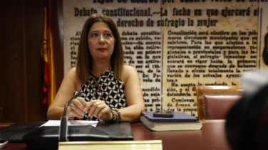 Leire Díez niega su relación con Ferraz: "Era una militante más"