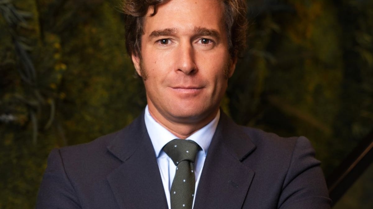Diego Guardamino, nuevo CEO de Hafesa